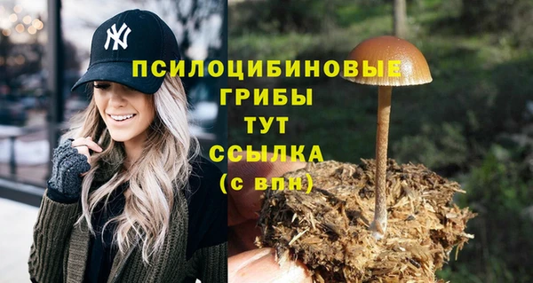 метадон Новозыбков