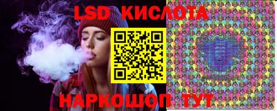 прущие грибы Бердск