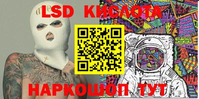 прущие грибы Бердск