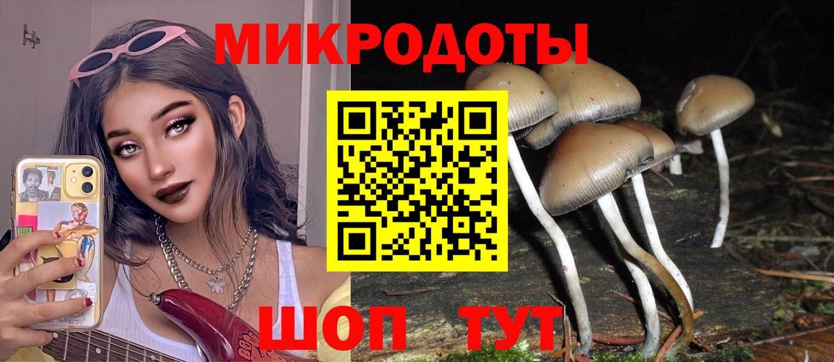 Галлюциногенные грибы мухоморы  Галлюциногенные грибы ЛСД  Владимир  Вход с VPN 